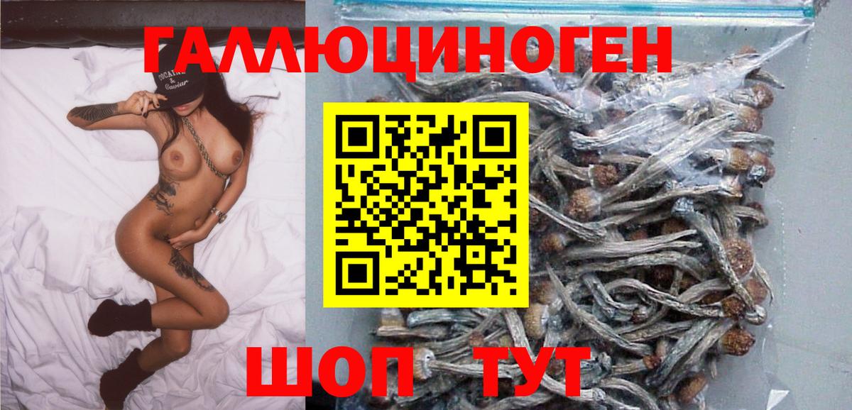 Котлас  Псилоцибиновые грибы Magic Shrooms  купить закладку  Вход с VPN  Псилоцибиновые грибы Cubensis 