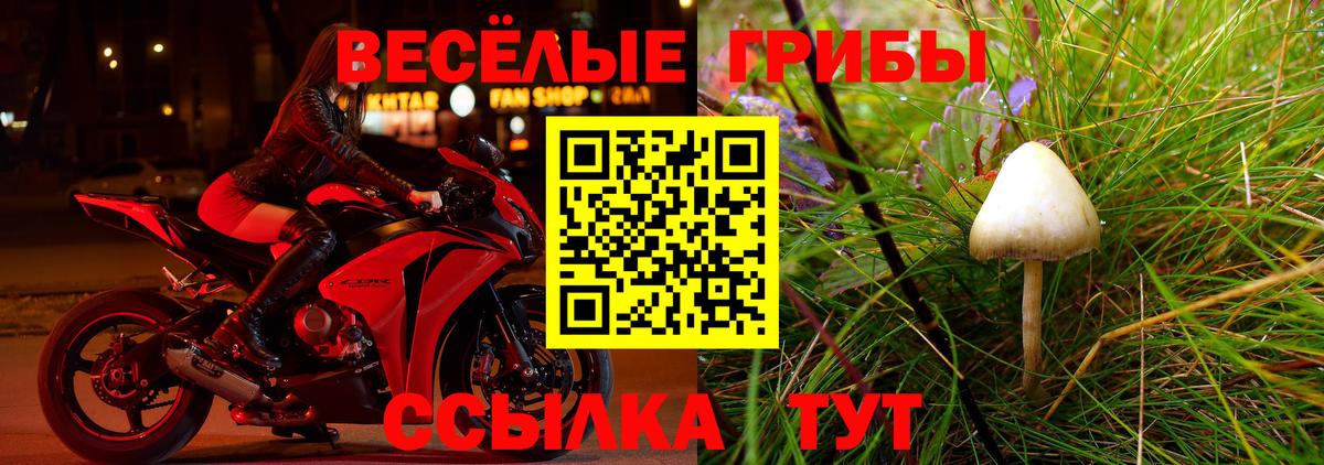 Галлюциногенные грибы GOLDEN TEACHER Котлас